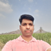 R. L. Chavhan