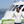 mini profile avatar
