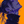 mini profile avatar