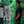 mini profile avatar