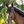 mini profile avatar