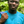 mini profile avatar