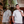 mini profile avatar