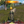 mini profile avatar