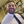 mini profile avatar