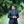 mini profile avatar