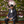 mini profile avatar