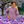 mini profile avatar
