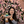 mini profile avatar