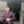 mini profile avatar