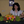 mini profile avatar