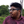 mini profile avatar