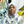 mini profile avatar