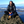 mini profile avatar