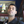 mini profile avatar