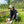 mini profile avatar