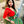 mini profile avatar