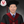 mini profile avatar