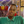 mini profile avatar