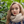 mini profile avatar