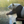 mini profile avatar