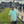 mini profile avatar