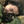 mini profile avatar
