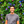 mini profile avatar