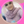 mini profile avatar