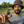 mini profile avatar