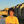 mini profile avatar