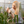 mini profile avatar