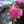 mini profile avatar