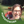 mini profile avatar