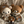 mini profile avatar