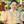 mini profile avatar