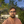 mini profile avatar