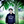 mini profile avatar