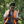 mini profile avatar