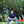 mini profile avatar
