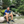 mini profile avatar