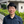 mini profile avatar