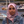 mini profile avatar