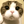 mini profile avatar
