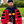 mini profile avatar
