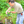 mini profile avatar