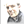mini profile avatar