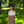 mini profile avatar