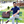 mini profile avatar