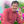 mini profile avatar